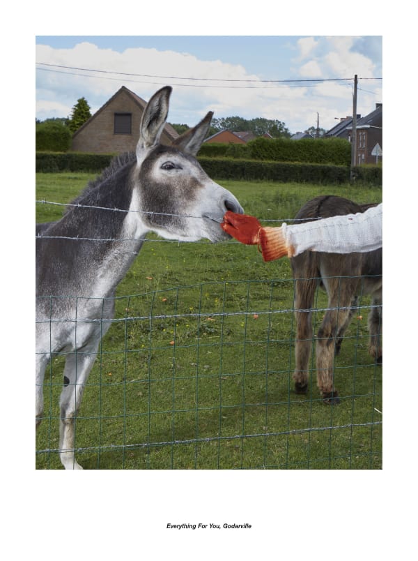 Jan De Cock Exhibition Everything For You, Godarville