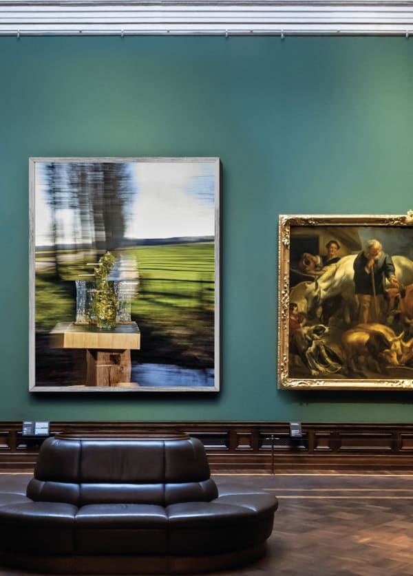 A symbolic portrayal from Flanders #9