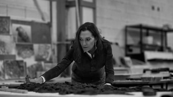 Jan De Cock Art Advisory Services Bruges Cristina Iglesias