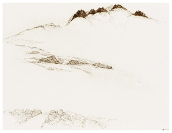 Raffi Kaiser #022425 Landscape, 2018-2021 Ink on paper 46 x 61 cm