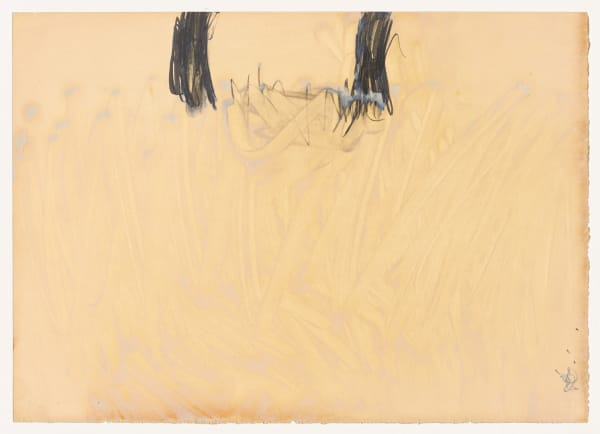 Andreas Caderas #018535 ohne Titel, 2005 Acrylic and graphite on paper 25 x 35 cm