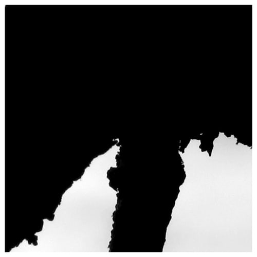 Peter-Cornell Richter, #021372 Tree Writing in an Autumn Garden (for Toru Takemitsu), 2016