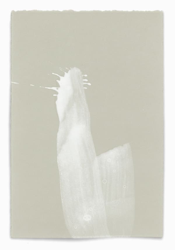 Hiroko Nakajima, #019155 Windblume III, 2009