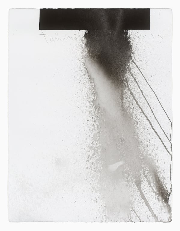 Kei Tanimoto, #019392 Untitled, 2011
