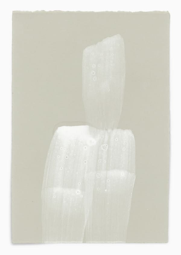 Hiroko Nakajima, #019156 Windblume IV, 2009