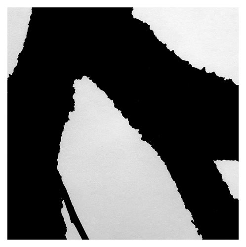 Peter-Cornell Richter, #021379 Tree Writing in an Autumn Garden (for Toru Takemitsu), 5/7, 2016