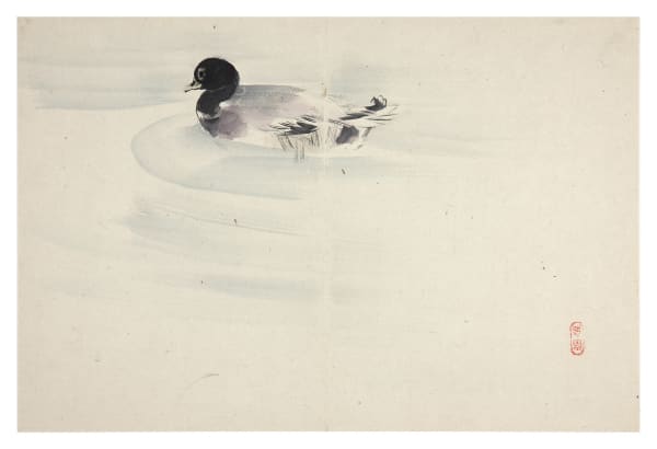 Malerei, #005282 NIWAYAMA KÔEN (1869-1943), Ente im Wasser, 19. / 20. Jahrhundert