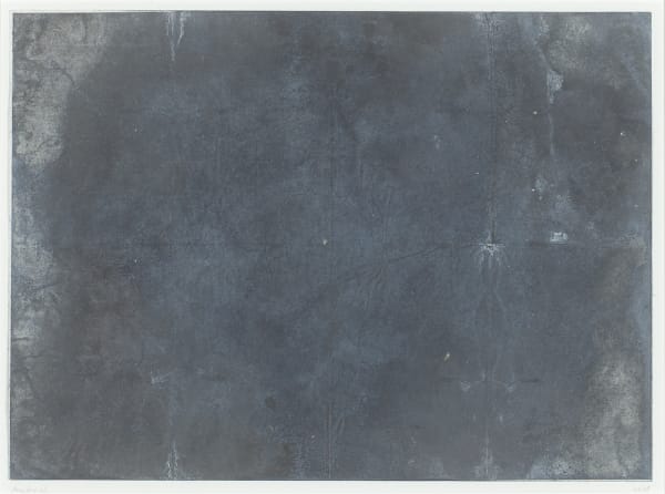 Katsuhito Nishikawa, #021190 Hombroich, 2009