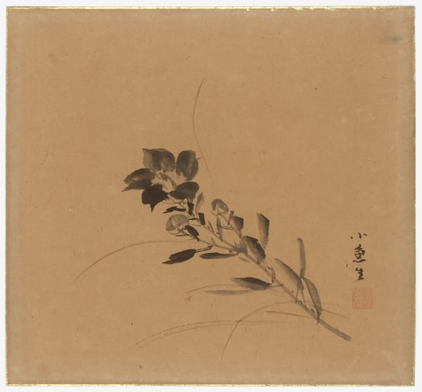 Malerei, #007487 Chinesische Glockenblume, Japan, Edo-Zeit (1600-1868), 18. Jh.