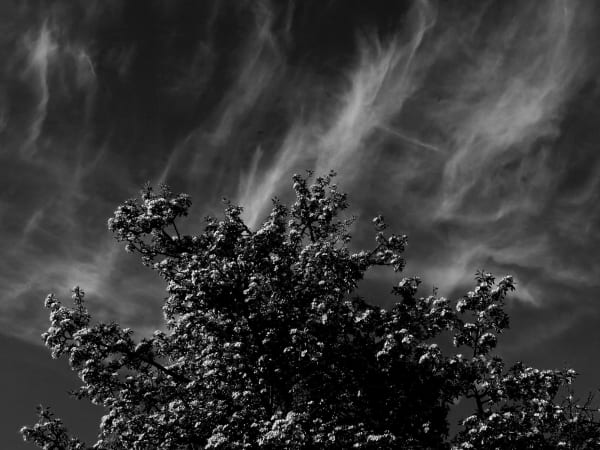 Peter-Cornell Richter, #021371 Clouds (for A. St.), 2016