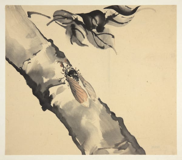 Malerei, #000244 Zugeschrieben: GYOKUSEN Mochizuki (1834-1913), Zikade, auf einem Ast sitzend, 19. / frühes 20. Jahrhundert