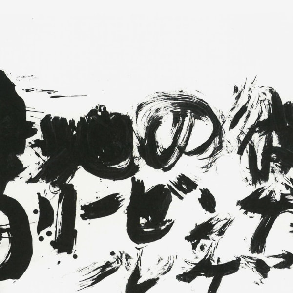 Überflogenes Weiß (II). Thomas Baumhekel. Arkona. Deutsche Landschaft Japanisch