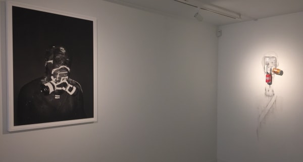 Image006 Lower Level Gallery