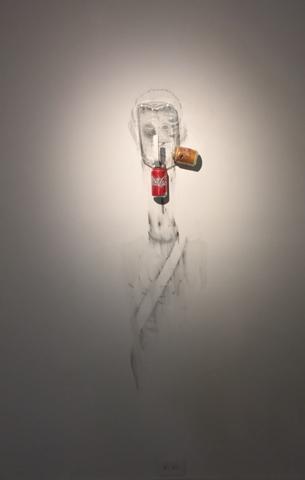 Image007 Lower Level Gallery