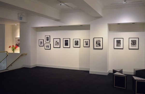 7E57Ffcfdd185E57Cc81D1455238339C