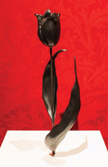 Rob and Nick Carter Black Tulip (after Judith Leyster from Tulip Book, 1643), 2012 black patinated bronze 13 inches high edition of 12