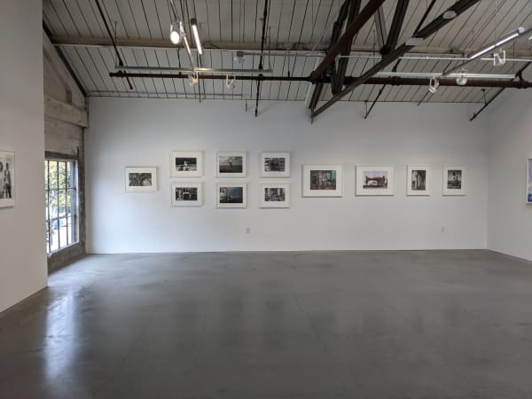 Pxl 20210313 183034170