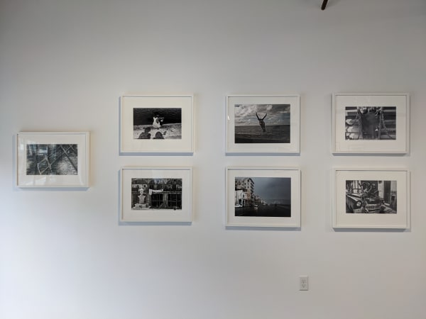 Pxl 20210313 183226998