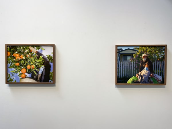 Al Badry The Other Language Install 9