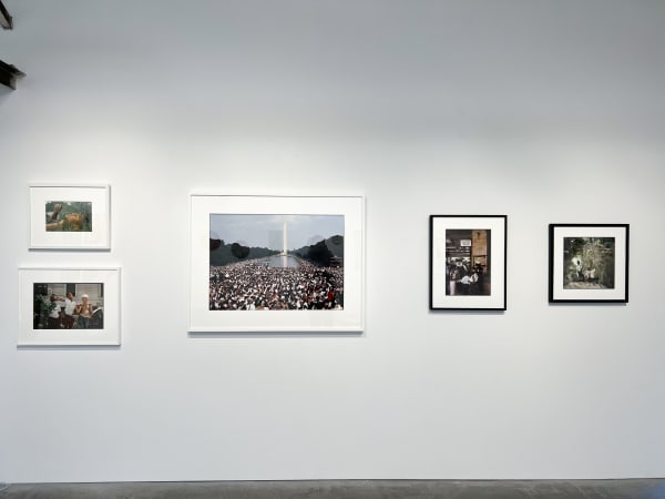 Summertime 2023 Edited 5