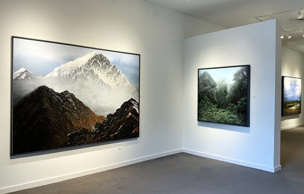 Tula Telfair Installation Image