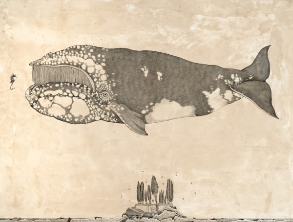 FLUCTUAT NEC MERGITUR “- Whale