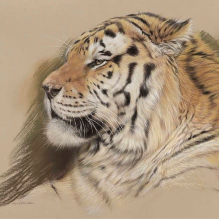 Gary Stinton : Studies