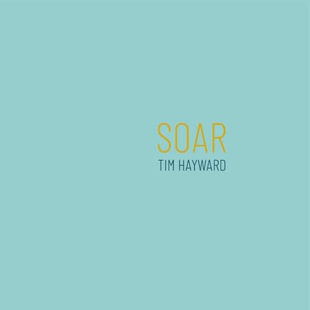 Tim Hayward: Soar