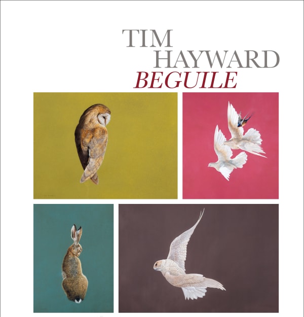 Tim Hayward: Beguile