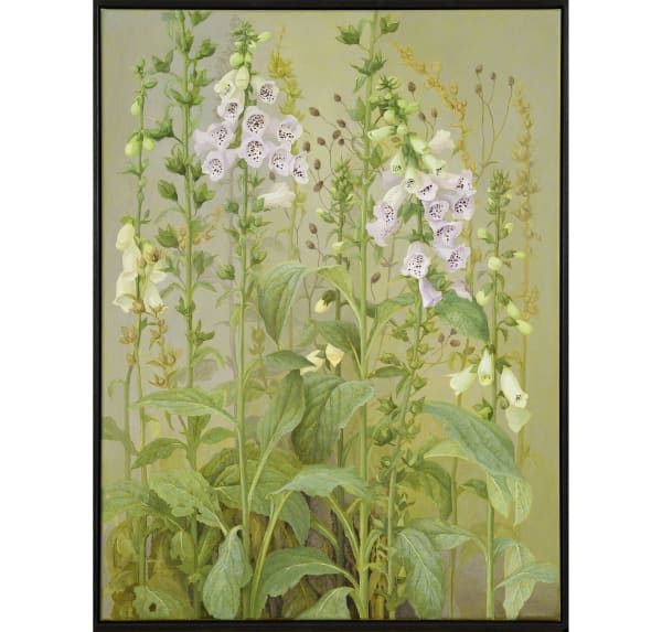 Jane Wormell: New works from my garden