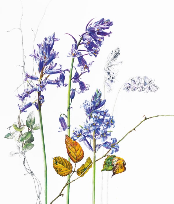 ROSIE SANDERS: FLOWERS