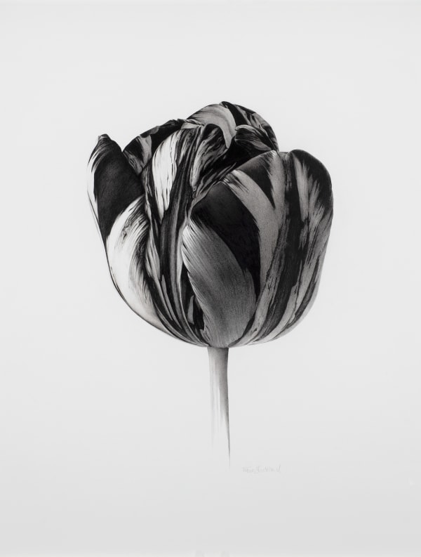 GREAT BOTANICAL ART