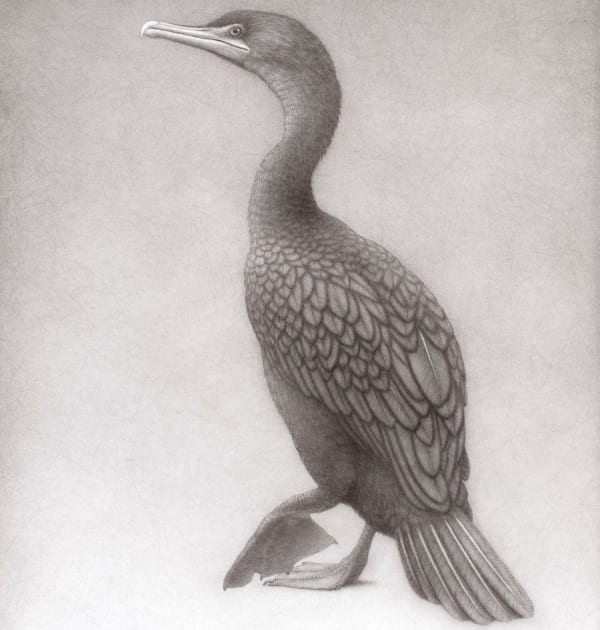 LEE ANDRE: PORTRAITS