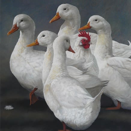 Tim Hayward : New Works