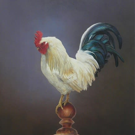 Tim Hayward : Pecking Order