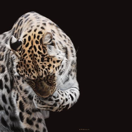 Gary Stinton : Eye to Eye