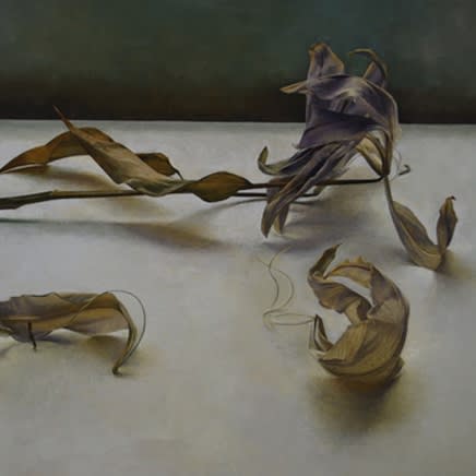 Susan Angharad Williams : New Paintings and Drawings