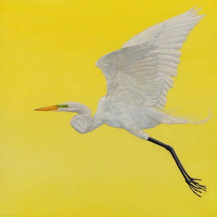 Palm Beach Jewelry, Art, & Antique Show