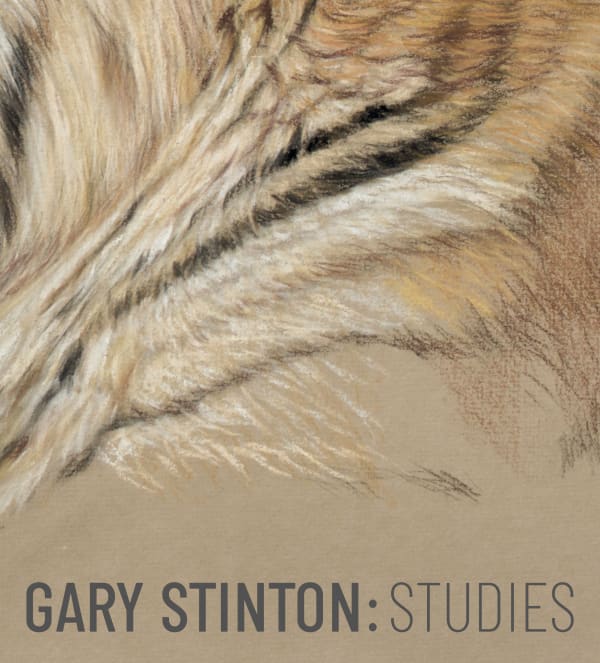 Gary Stinton: Studies