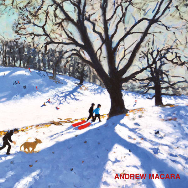 Andrew Macara: New Paintings