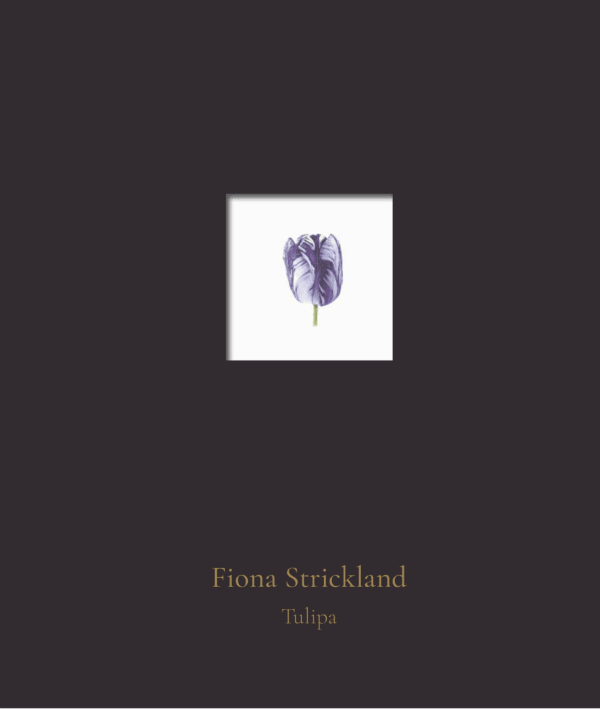 Fiona Strickland: Tulipa