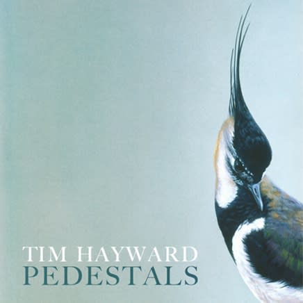 Tim Hayward : Pedestals
