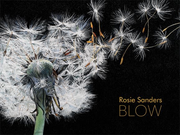 Rosie Sanders: Blow