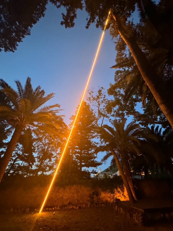 Joseph La Piana, Frequency, Agathis Australis Neon, 2024