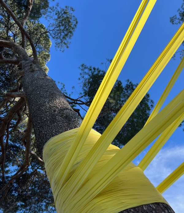 Joseph La Piana, Frequency, Pines Anchor , 2024