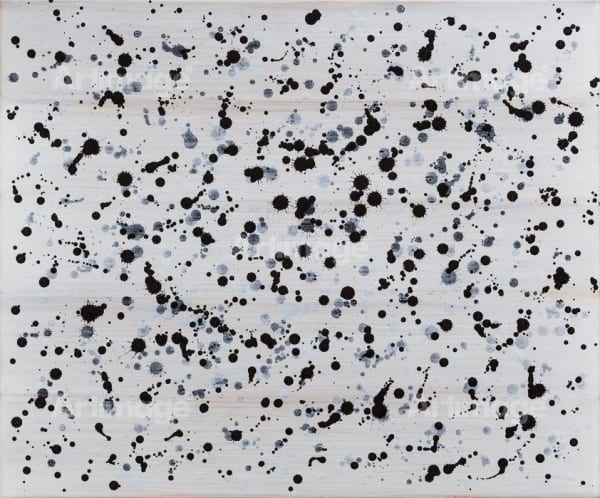 Transoxide VIII, 2016