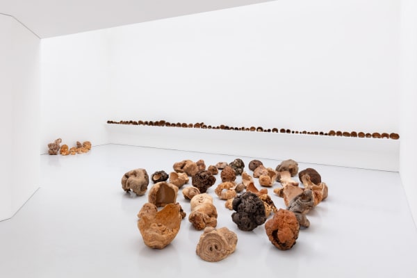 001 Matt Bryans 85A1452 Edit Low Res