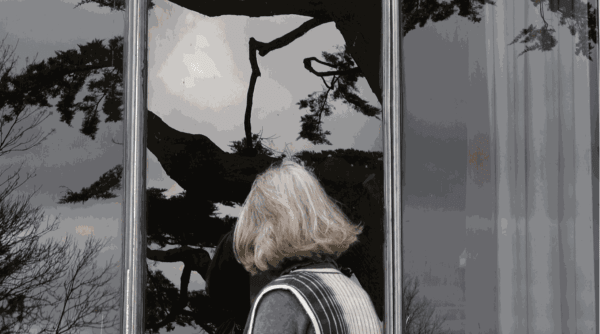 Screenshot 2020 11 13 At 15 12 04