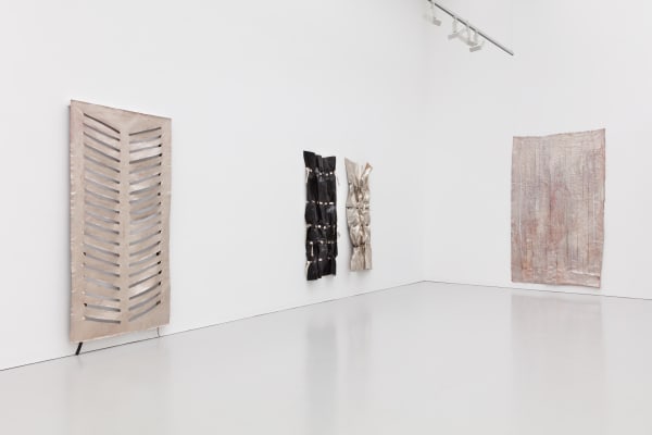 Laura Gannon - Wild Money, 2017