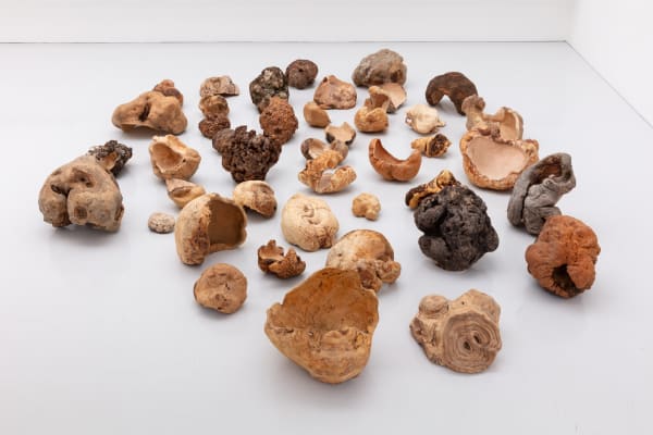 Matt Bryans - Burl / Kåte, 2020